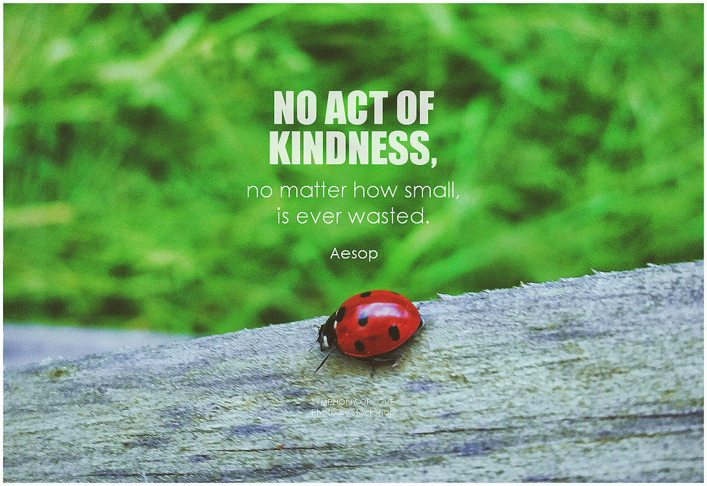 Acts of Kindness